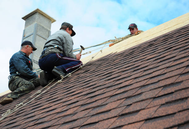 Best Gutter Installation and Roofing  in Weirton, WV